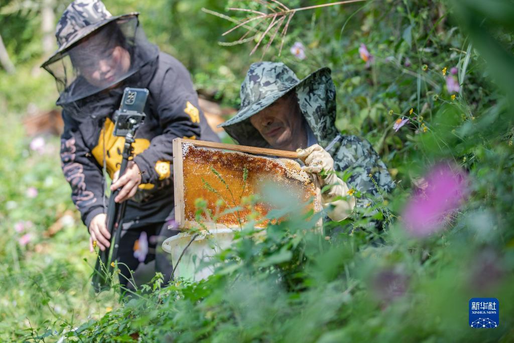 棋开得胜app下载